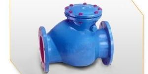 Reflux Valve