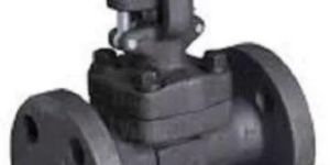Steam Globe Valve