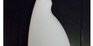 Plastic Spray Bottle