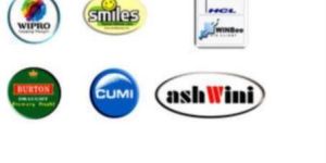 Multicolor Domed Sticker