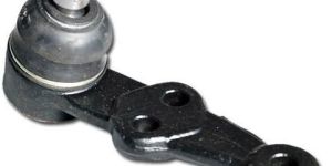 Indica Ball Joint