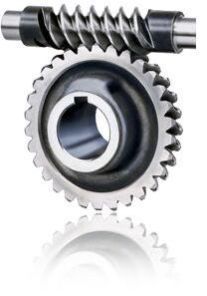 Worm Wheel