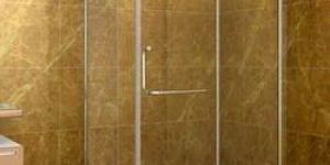 Shower Cubicle Glass Door