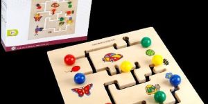 Find the Path Educational Toy