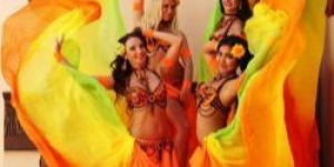 Yard Belly Dance Silk Veil