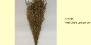 Brown Real Dried Lemonium