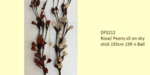 Rose Peony Dry Stick