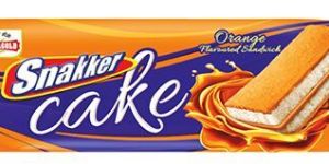 Snakker Cake - orange
