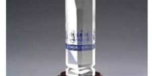 Acrylic Corporate Trophy