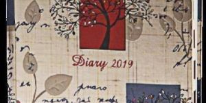 ARTY RESPLENDENCE-D-EXE DIARY