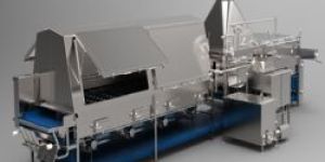 Vegetable Blancher Cooler