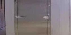 Cold Storage Door