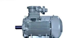 Flame Proof Motor