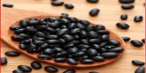 Black Beans
