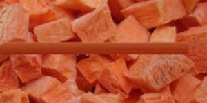 Frozen Carrot Cubes