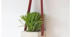 Wall Hanging Flower Pot