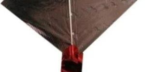 Plastic Film Kite