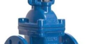 Cast Iron Gate Valve