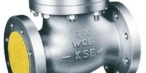 Swing Check Valves