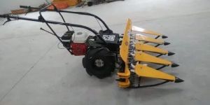 Rice Cutting Machine