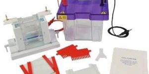 Gel Electrophoresis Systems