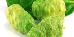 Noni Fruit