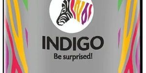 Indigo Enamel Paints