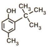 Mono Tertiary Butyl Paracresol