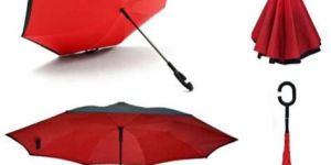 Reversable Umbrella