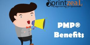 Certified Scrum Master