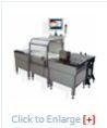 Online Check Weighing System