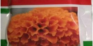 Marigold Seed
