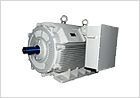Low Voltage Motors