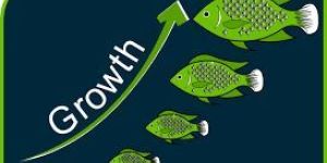 Growth Promoter Feed