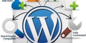 Wordpress Web Development