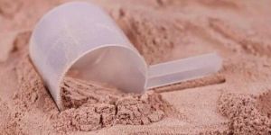 Whey Protein Hydrolysate Powder