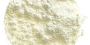 Whole Milk Powder