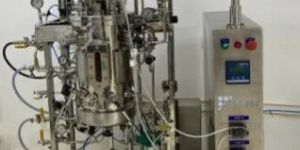Pilot Scale Fermentor