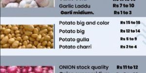 Onion Potato Garlic