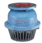 Foot Valve