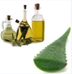 Aloe Extract