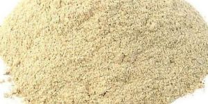Dry Oyster Mushroom Powder