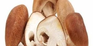 Fresh Paddy Straw Mushroom