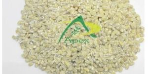 Pearl Barley Seeds