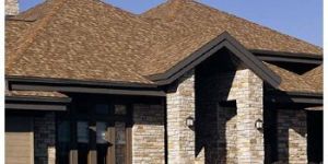 Roof Shingles