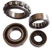 Cylindrical Roller Bearing
