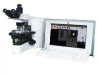 Sperm Analysis Imaging System