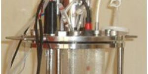 Fermenter Vessel