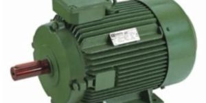 High Efficiency Standard Motors