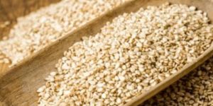 Natural Sesame Seeds